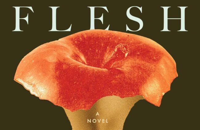 Review — ‘Flesh’ by David Szalay: Bare-Bones Panoramic of One Man’s Life&nbsp;Disappoints